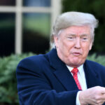 Person in suit pointing outside in garden setting