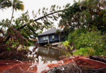 A house surrounded by floodwaters and fallen trees after a storm