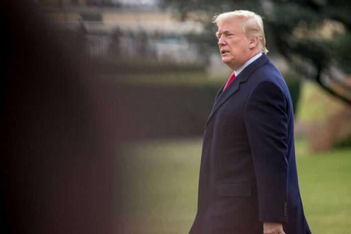 779884756 Man in suit walking outside on grassy area