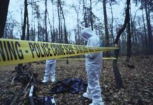 Forensic investigators at a police crime scene in a forest