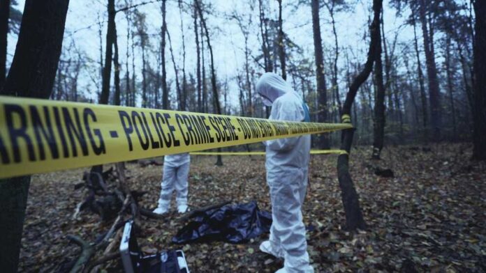 Forensic investigators at a police crime scene in a forest