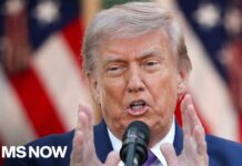 Trump calls Taiwan arms sales ‘a negotiating chip’