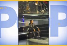 Lionel Richie falls ill on opening night of tour