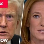 Trump fires independent elections workers in latest attack on U.S. election system