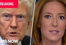 Trump fires independent elections workers in latest attack on U.S. election system Trump fires independent elections workers in latest attack on U.S. election system