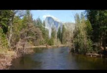 Trump administration reportedly weighs Yosemite National Park land swap